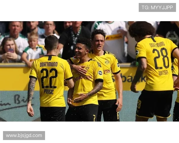 黄黑军团战力评估与德甲最新排名深度剖析及未来走势分析